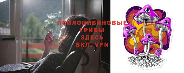 дживик Медногорск
