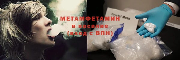 прущие грибы Сатка