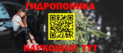 крисы Ипатово