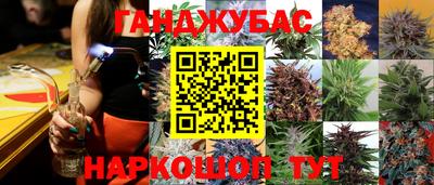 крисы Ипатово
