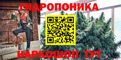 гидропоника Ирбит
