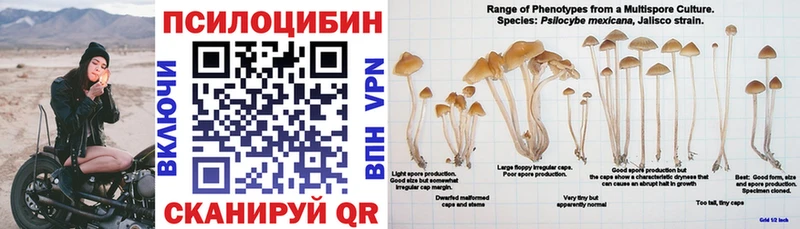 Галлюциногенные грибы мицелий  закладки  Лыткарино 
