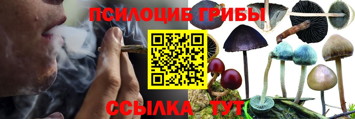 Лыткарино  Галлюциногенные грибы Psilocybine cubensis  Вход с VPN  Галлюциногенные грибы мицелий 